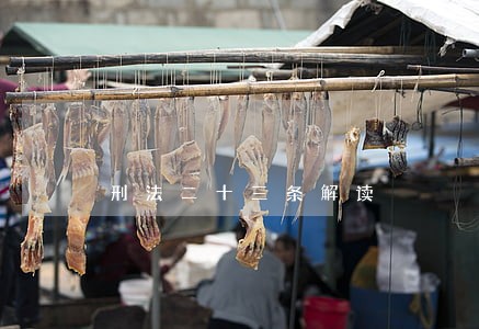 刑法二十三条解读