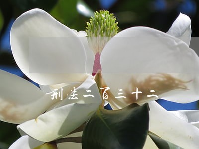 刑法二百三十二