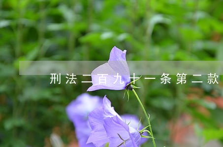 刑法二百九十一条第二款 刑法二百九十一条第二款