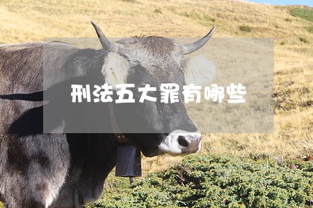 刑法五大罪有哪些 刑法五大罪有哪些