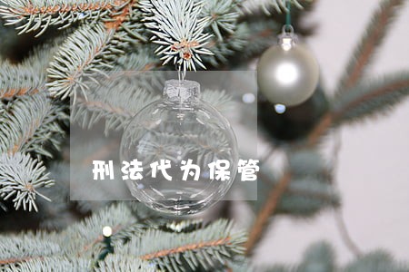 刑法代为保管 刑法代为保管