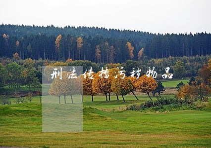 刑法传播污秽物品