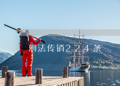 刑法传销224条