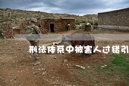 刑法体系中被害人过错引入引言 刑法体系中被害人过错引入引言