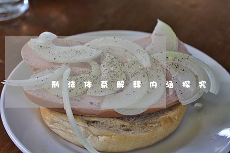 刑法体系解释内涵探究 刑法体系解释内涵探究