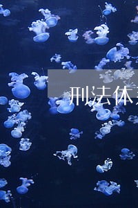 刑法体系解释的规范化思考 刑法体系解释的规范化思考