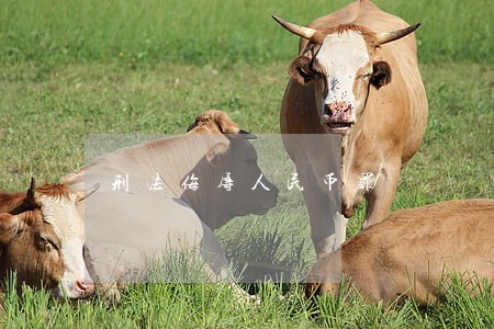 刑法侮辱人民币罪 刑法侮辱人民币罪