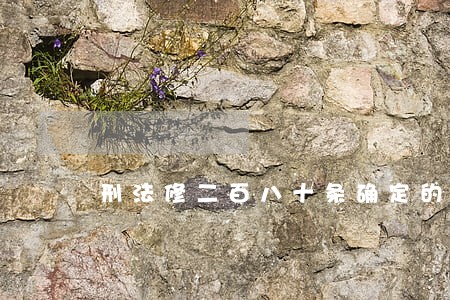 刑法修二百八十条确定的罪名 刑法修二百八十条确定的罪名