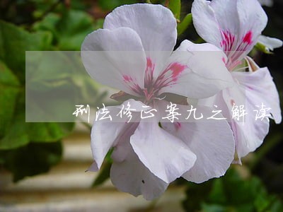 刑法修正案九之解读 刑法修正案九之解读