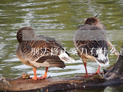 刑法修正案九有什么意义 刑法修正案九有什么意义