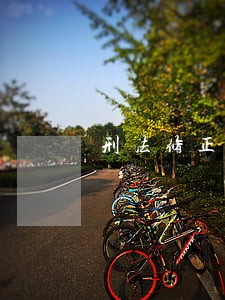 刑法修正案九的颁布时间