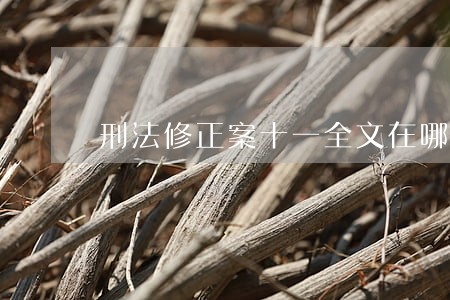 刑法修正案十一全文在哪里 刑法修正案十一全文在哪里