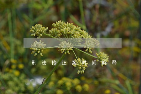 刑法修正案时间解释 刑法修正案时间解释