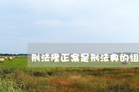 刑法修正案是刑法典的组成部分吗 刑法修正案是刑法典的组成部分吗