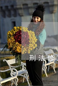 刑法修正案最新司法解释 刑法修正案最新司法解释