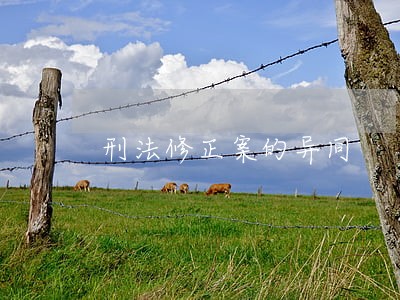 刑法修正案的异同 刑法修正案的异同