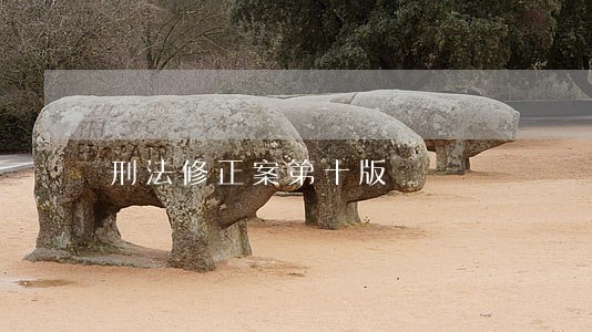 刑法修正案第十版