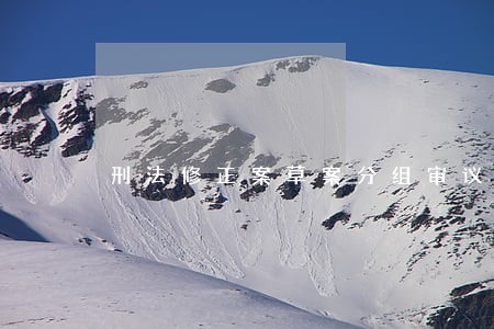 刑法修正案草案分组审议 刑法修正案草案分组审议
