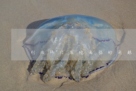 刑法修订法院面临的问题 刑法修订法院面临的问题