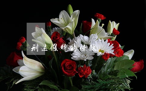 刑法假释的条款