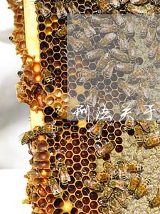 刑法关于校园暴力有哪些规定 刑法关于校园暴力有哪些规定