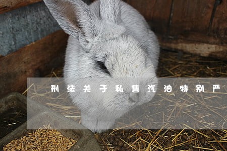 刑法关于私售汽油特别严重的标准 刑法关于私售汽油特别严重的标准