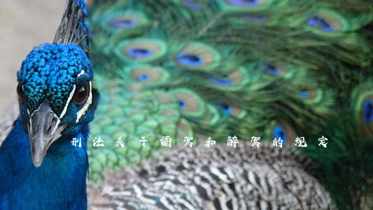 刑法关于酒驾和醉驾的规定 刑法关于酒驾和醉驾的规定