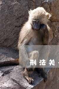 刑法关于重婚罪的解释 刑法关于重婚罪的解释