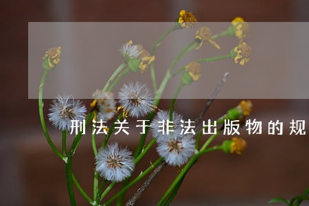 刑法关于非法出版物的规定