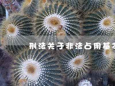 刑法关于非法占用基本农田 刑法关于非法占用基本农田
