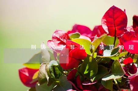 刑法关于非法拘禁罪的规定 刑法关于非法拘禁罪的规定