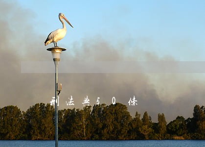 刑法典50条 刑法典50条