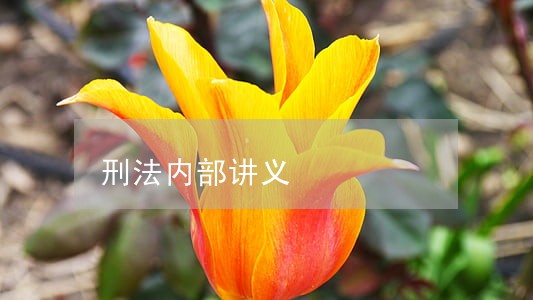 刑法内部讲义 刑法内部讲义
