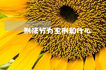刑法分为主刑和什么 刑法分为主刑和什么