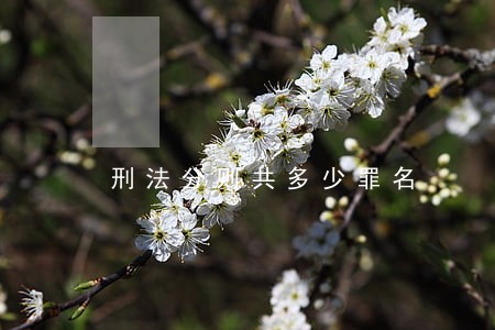 刑法分则共多少罪名 刑法分则共多少罪名