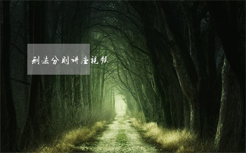 刑法分则讲座视频 刑法分则讲座视频
