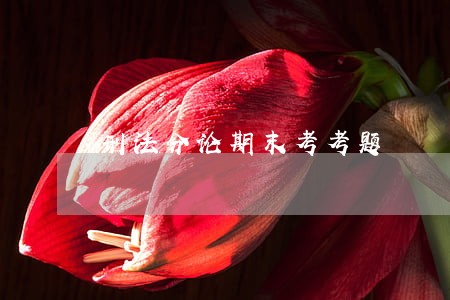 刑法分论期末考考题 刑法分论期末考考题