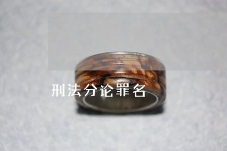 刑法分论罪名 刑法分论罪名