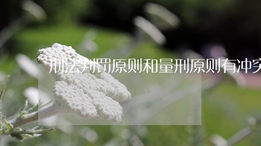 刑法判罚原则和量刑原则有冲突吗 刑法判罚原则和量刑原则有冲突吗