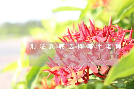 刑法到底选择哪个老师 刑法到底选择哪个老师