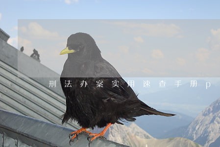 刑法办案实用速查手册pdf 刑法办案实用速查手册pdf