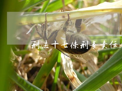 刑法十七条刑事责任年龄 刑法十七条刑事责任年龄