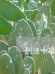 刑法十项罪名 刑法十项罪名