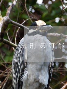 刑法可能找上门 刑法可能找上门