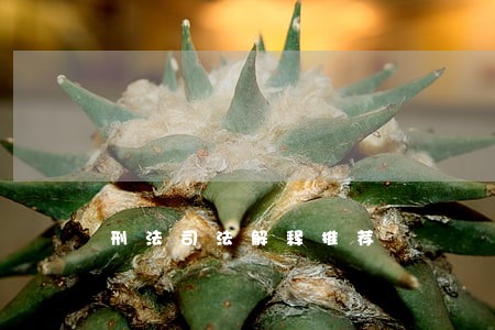 刑法司法解释推荐