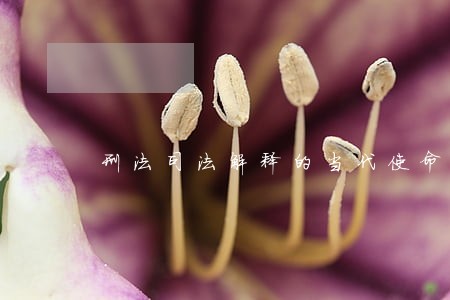 刑法司法解释的当代使命 刑法司法解释的当代使命