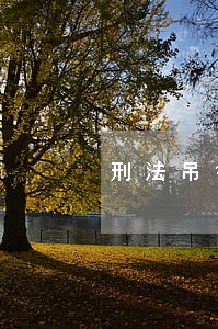 刑法吊销驾驶证