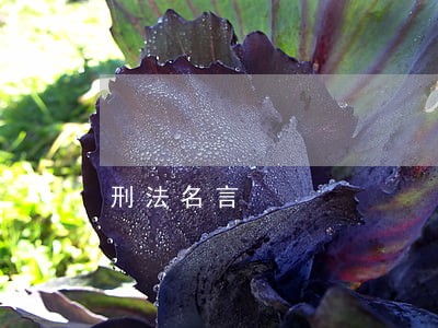 刑法名言 刑法名言