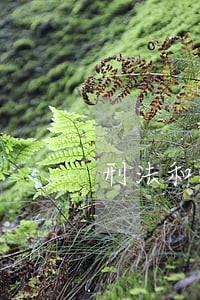 刑法和治安讲堂心得体会