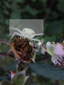 刑法哪一条规定了正当防卫